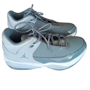 Air Jordan Gray and White Sneakers